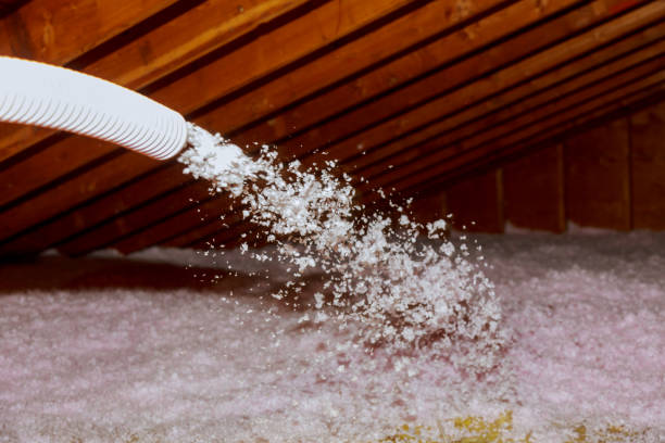 Best Fiberglass Insulation in Ettrick, VA