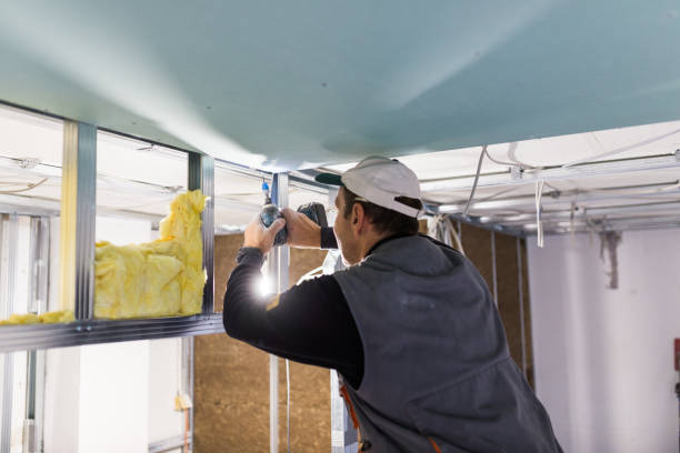 Best Eco-Friendly Insulation in Ettrick, VA