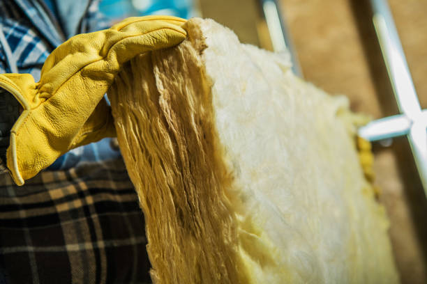 Best Eco-Friendly Insulation in Ettrick, VA