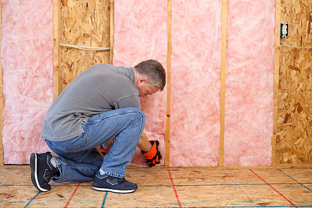 Best Spray Foam Insulation in Ettrick, VA